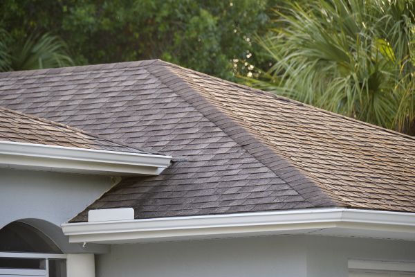 Professional Roofing Service