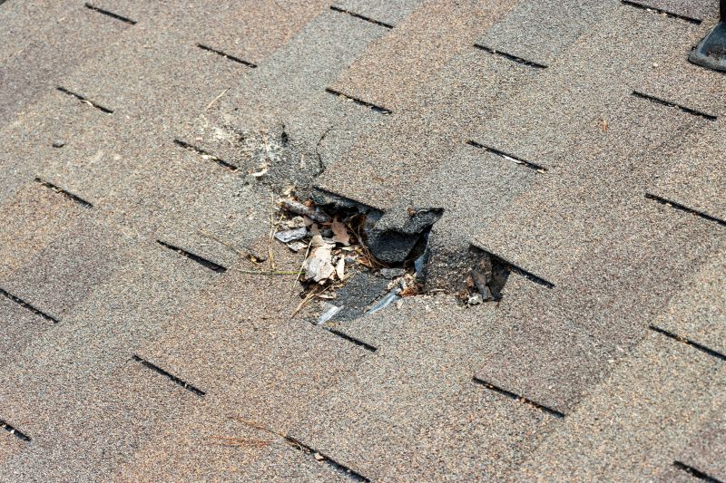 Hail Damage Roof Repair